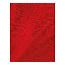 Alpinestars Endeavor Polo Tişört Kırmızı - 3